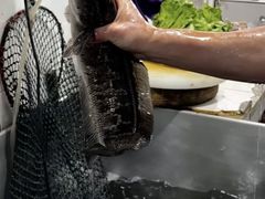 -大理.老字号渝记酸萝卜乌鱼(古城总店)