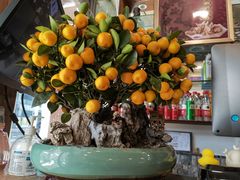 -恩宁刘福记(东华东路店)