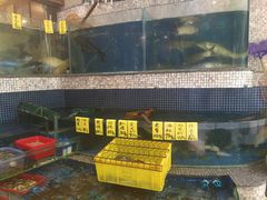 水产区-权记避风塘(鸿记店)