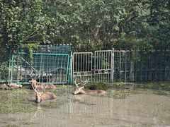 -溱湖国家湿地公园