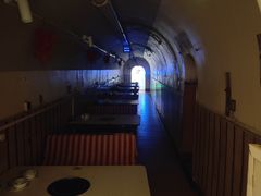 -洞庭洲·防空洞火锅·铜锅涮肉·烧烤(新百广场店)