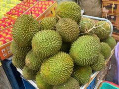 -三亚新鸿港水果一级批发市场
