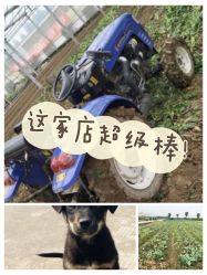 -麦粒鸟亲子游