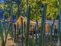 -MOJ coffee(瓯海泽雅水碓坑店)