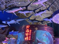-烟台海昌鲸鲨海洋公园