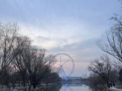 -祥源·阜阳生态乐园