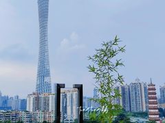 -小茶闲舍·观景商务茶馆(广州塔店)