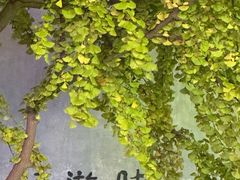 -慢熟面包店bud bread(孩儿巷店)