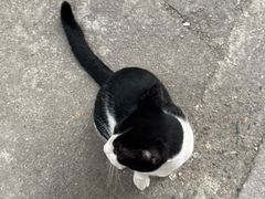 -大赤坎肥仔强烧味海鲜餐厅(大赤坎店)