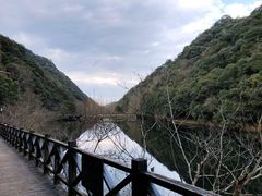 -宁海森林温泉