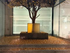 -WeWork中国(三里屯11号社区店)