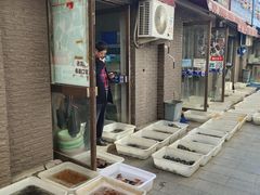 -中环花鸟鱼虫市场