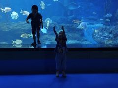 -多彩贵州城极地海洋世界