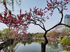 -无锡蠡湖国家湿地公园-蠡园