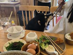 -柴の食堂·日式家庭料理·熊之肆(大学路店)