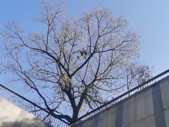 -东方体育中心(地铁站)