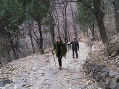 -阳台山自然风景区