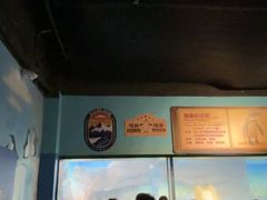 -海合安武汉极地海洋公园