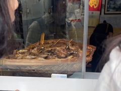 -邓氏兔头