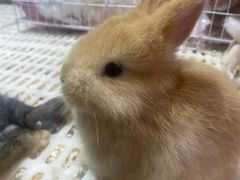 -鹏欣水游城