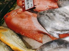 -渔满仓海鲜渔家(象山二店)
