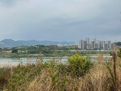 -金海湾滨江公园