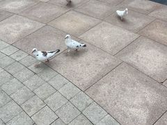 -中粮·祥云小镇