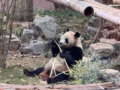 -杭州动物园