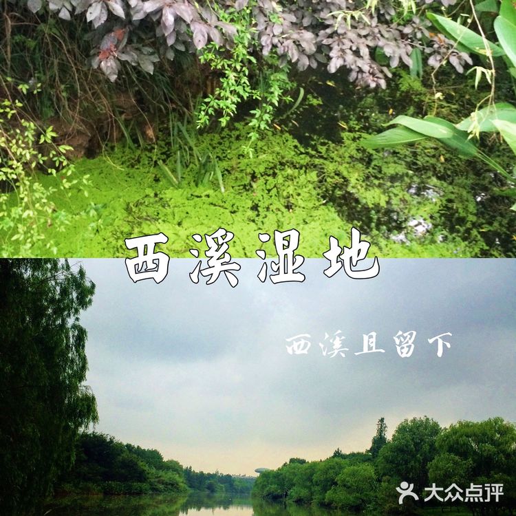 🍃杭州0元景点地图，夏日避暑好去处‼️来杭州玩必去🙌🏻