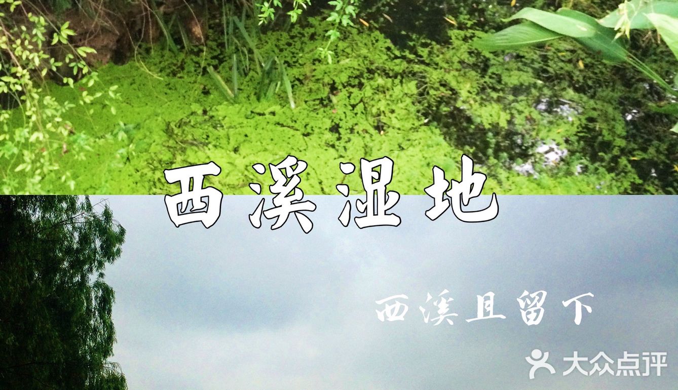 🍃杭州0元景点地图，夏日避暑好去处‼️来杭州玩必去🙌🏻