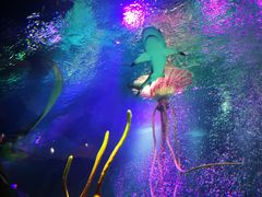 -沈阳海洋探索中心