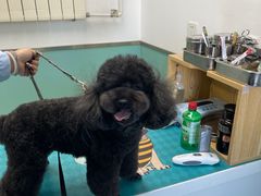 -欧奕国际动物医院