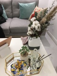 -紫御国际抗衰ZOE ANTI AGING