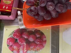 -马陆小张葡萄园农家乐