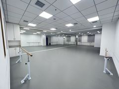 -西安小天鹅艺术团(金花路校区)