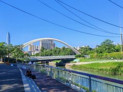 -福田红树林生态公园