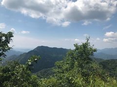 -大岭沟猕猴桃谷风景区