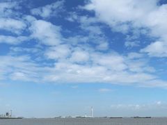-上海滨江森林公园