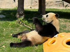 -达美乐比萨(栖霞大道店)