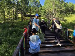 -莫尔道嘎国家森林公园