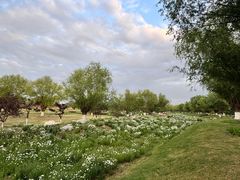 -汉长安城未央宫国家考古遗址公园