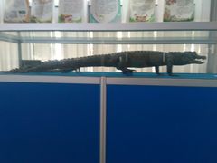 android_upload_pic-上海海洋大学鱼文化博物馆(军工路校区)