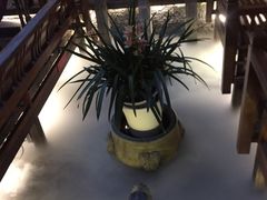 -三只耳火锅(宽窄巷子店)
