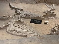 -洛阳周王城天子驾六博物馆