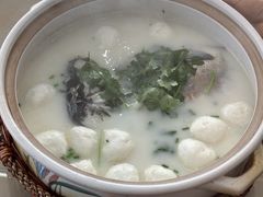 -紫藤园·天目湖大鱼头(南山竹海店)