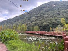 -广州市石门国家森林公园
