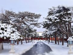 -故宫博物院(故宫)