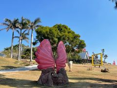 -漳州滨海火山岛自然生态风景区