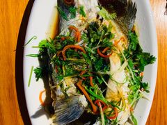 清蒸黑鱼-南蚝小贝海鲜特色餐厅(南澳岛店)