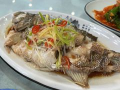 年清蒸鲈鱼-六和聚传统烤鸭.天津菜(和平店)